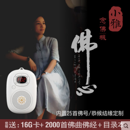 Rolton/乐廷 W101佛歌佛经播放机念佛机播经机唱佛机充电迷你结缘